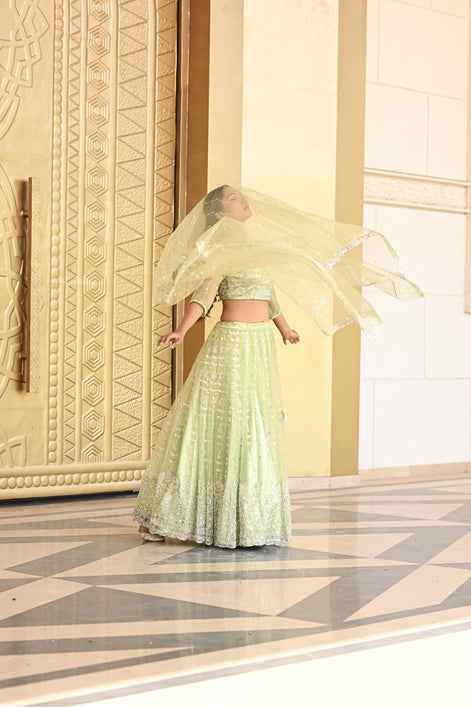 Light Pastel Green Sparkle Embroidered Net Lehenga