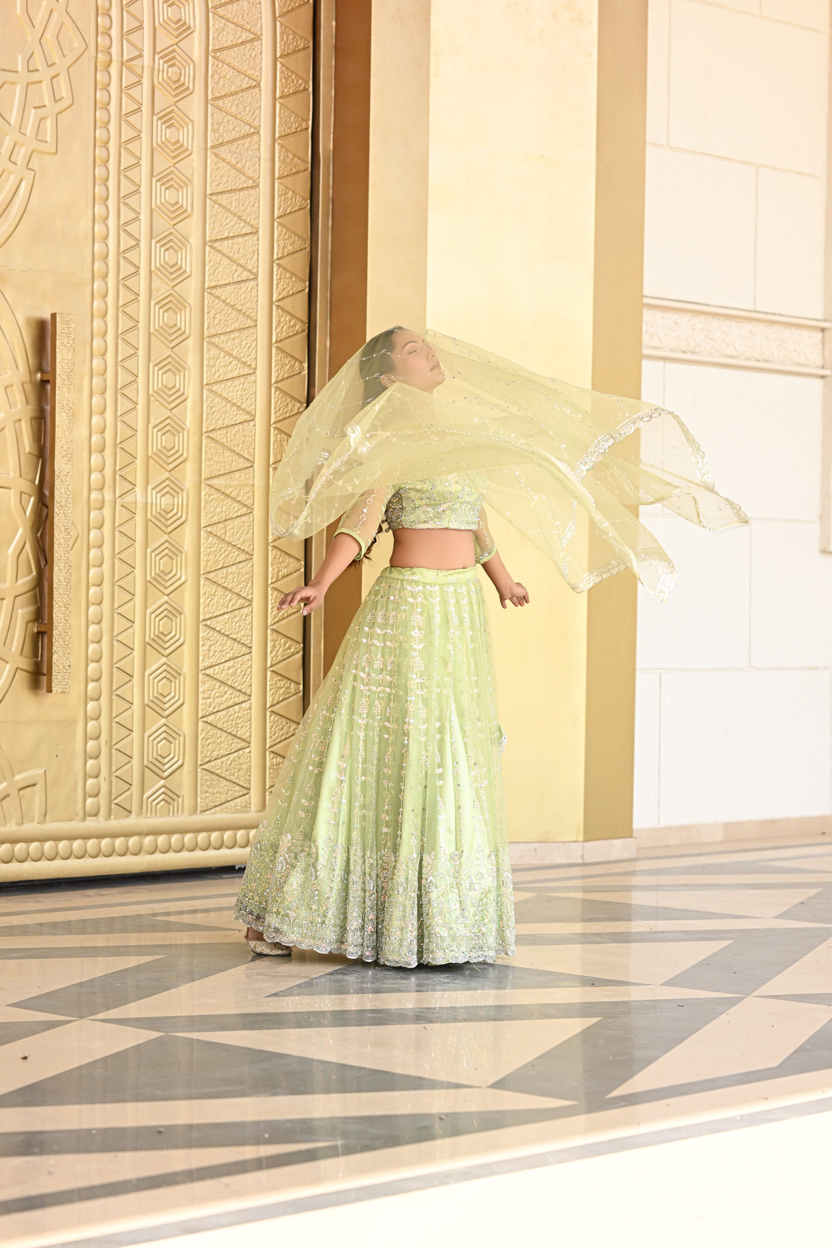 Light Pastel Green Sparkle Embroidered Net Lehenga