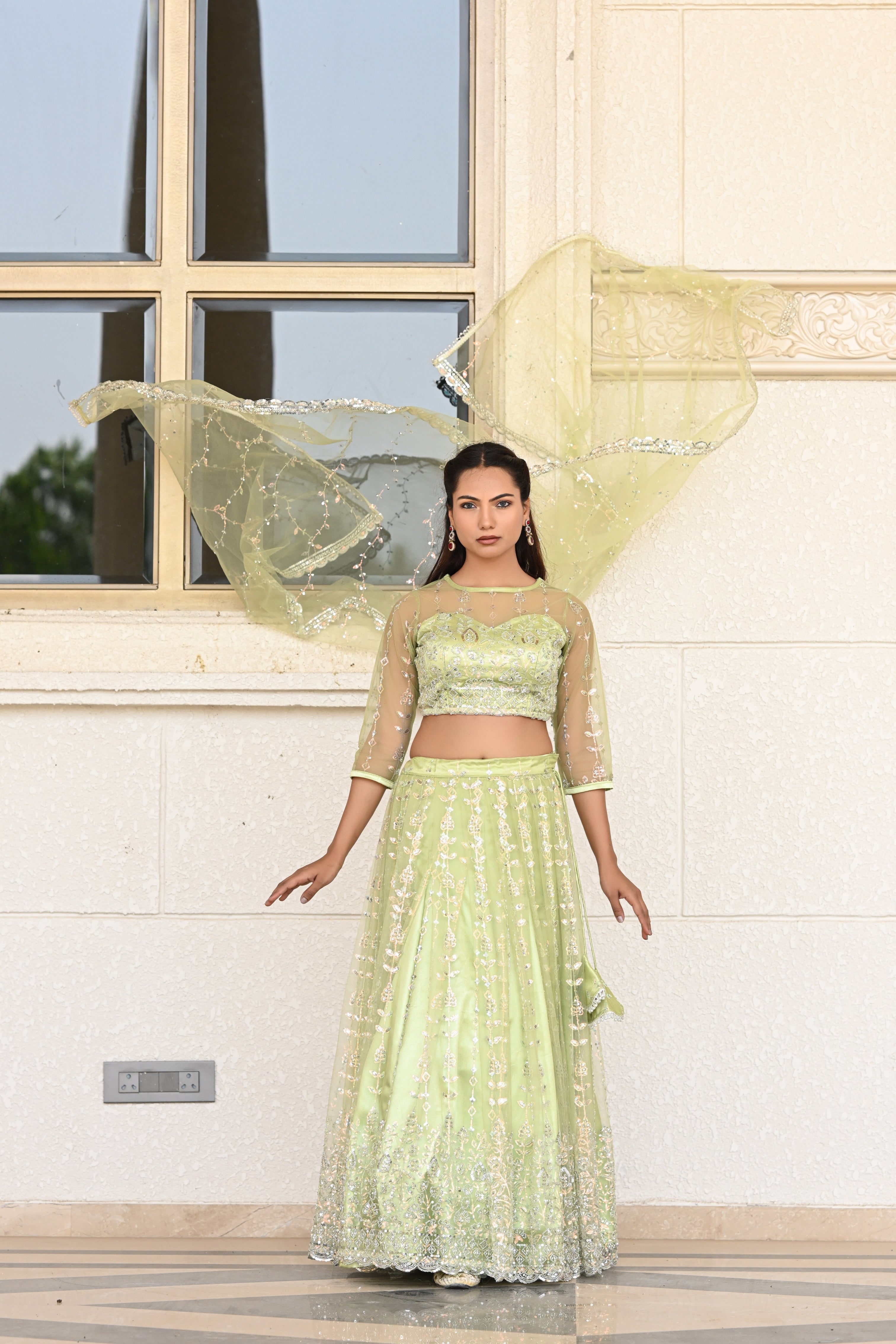 Light Pastel Green Sparkle Embroidered Net Lehenga