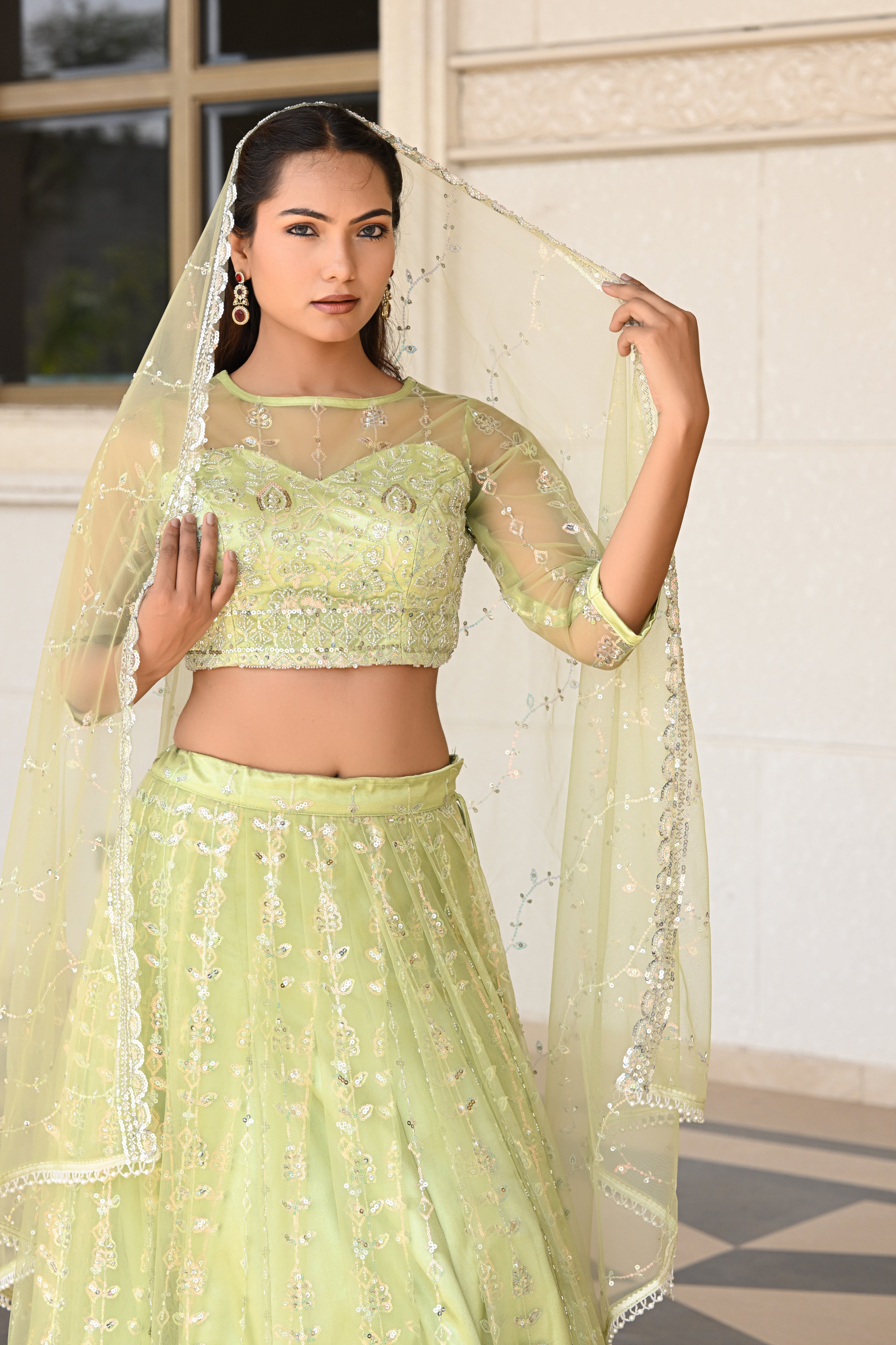 Light Pastel Green Sparkle Embroidered Net Lehenga