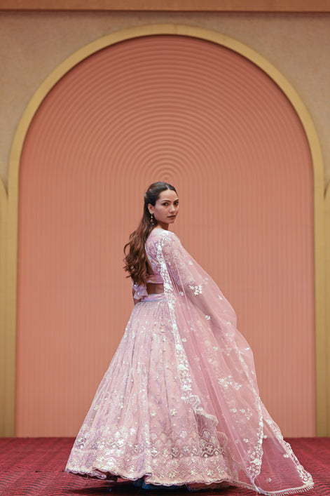 Light Pastel Pink Embroidered Net Lehenga