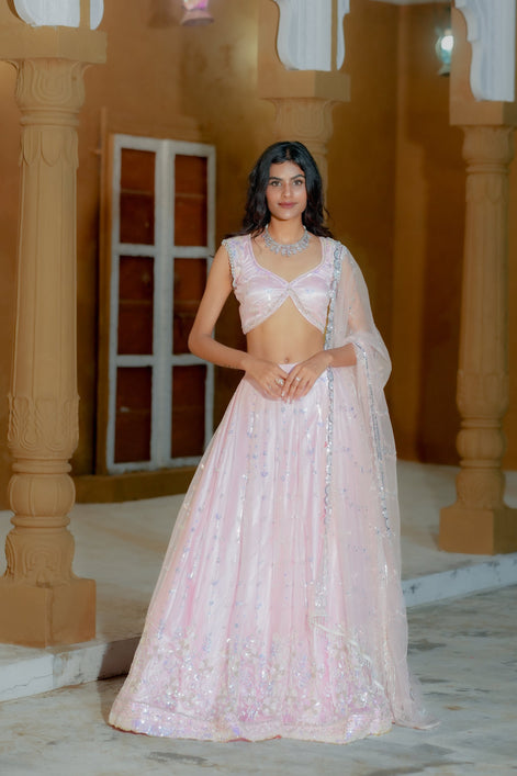 Pink Handwork Lehenga