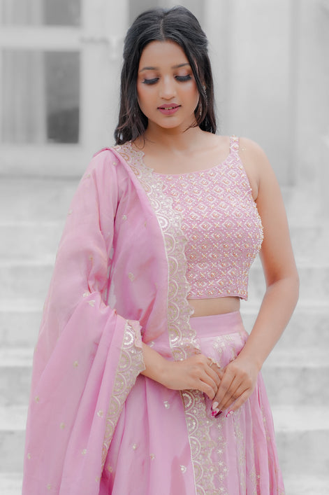 Pink Handwork Silk Lehenga