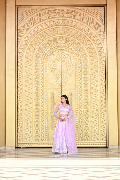 Lavender Pink Sparkle Embroidered Net Lehenga