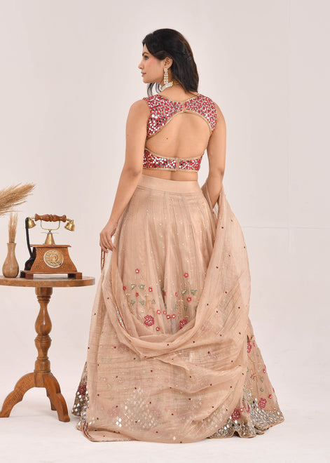 Gold and Red Embroidered Raw Tissue Lehenga