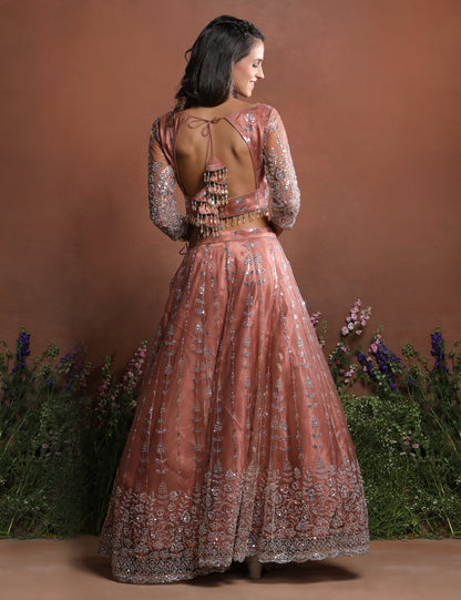Dusty Rose Sparkle Embroidered Net Lehenga