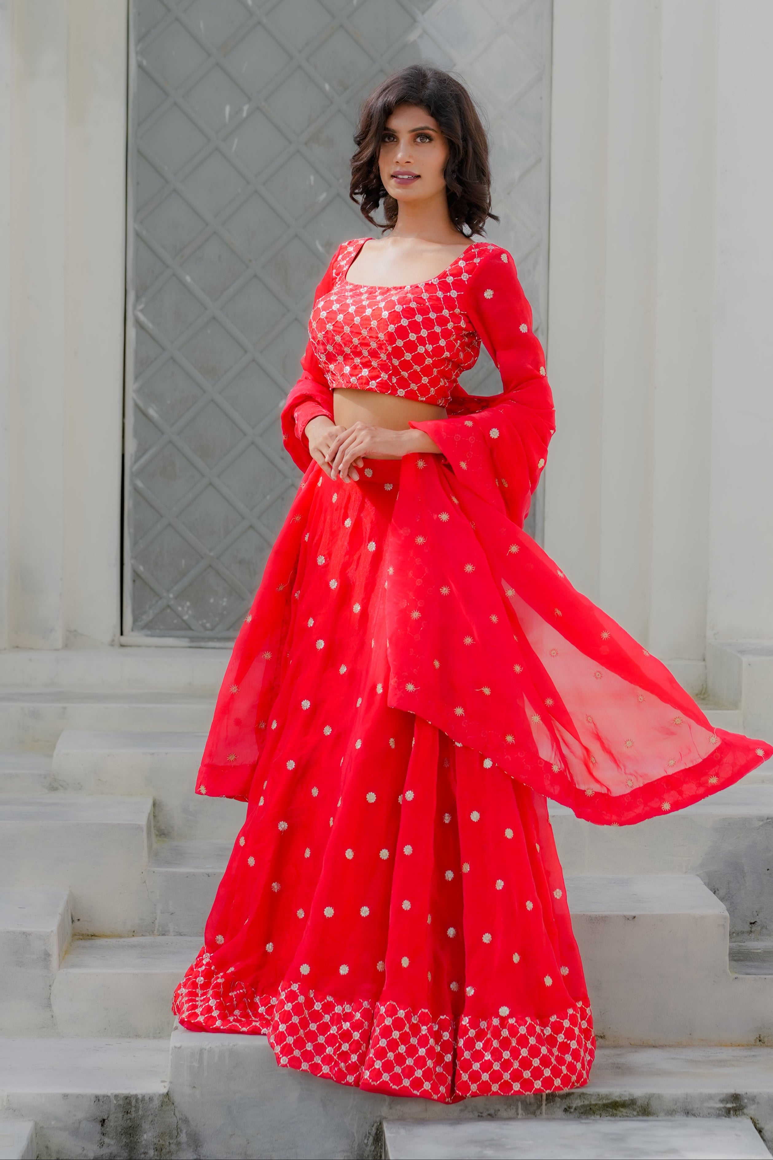 Scarlet Red Embroidered Georgette Lehenga