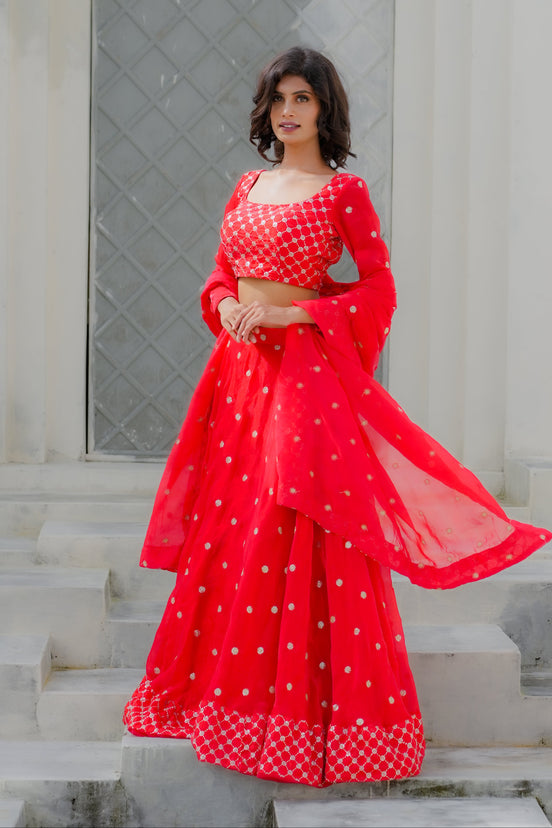 Scarlet Red Embroidered Georgette Lehenga