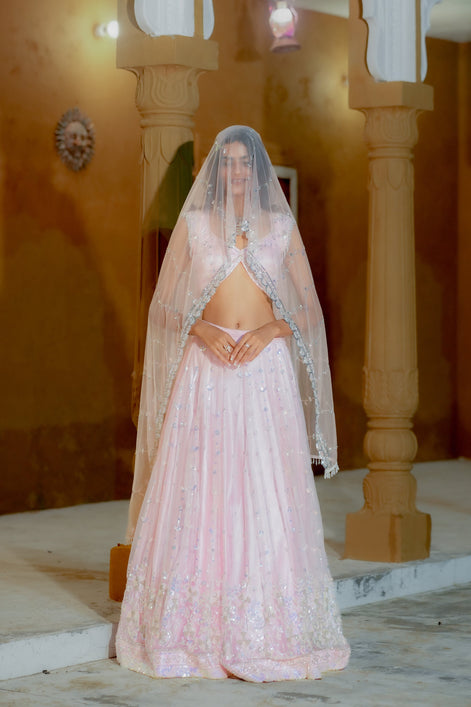 Pink Handwork Lehenga