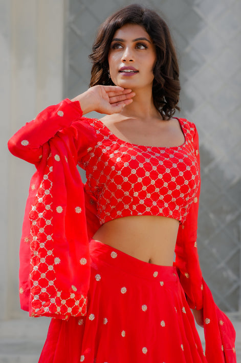 Scarlet Red Embroidered Georgette Lehenga