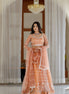 Peach Hand Embroidered Net Lehenga