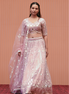 Light Pastel Pink Embroidered Net Lehenga