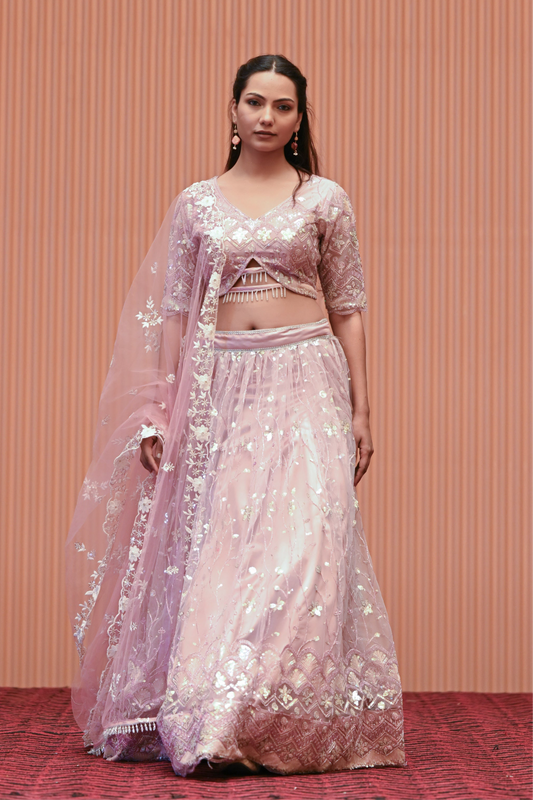 Light Pastel Pink Embroidered Net Lehenga