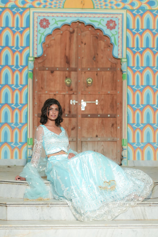 Mint Net Sequence Lehenga