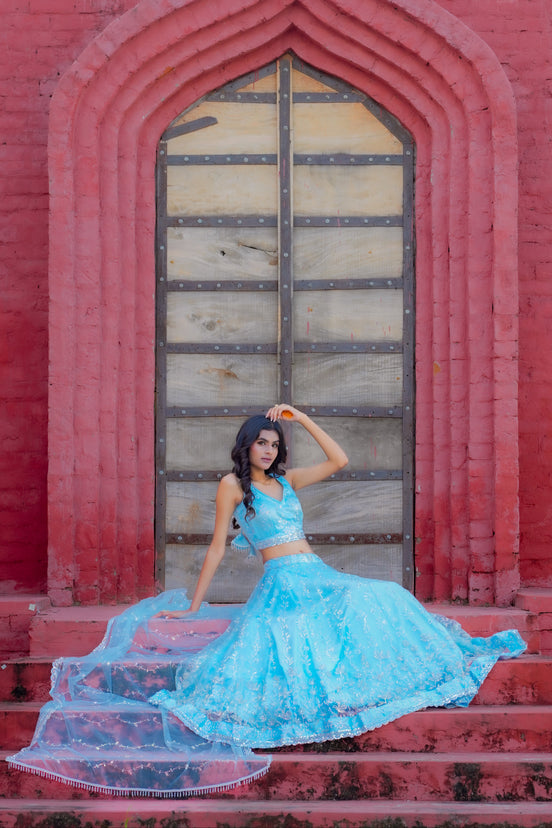 Light Blue Hand Embroidered Net Lehenga