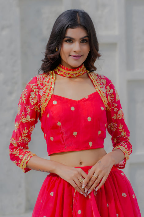 Scarlet Red Hand Embroidered Georgette Lehenga