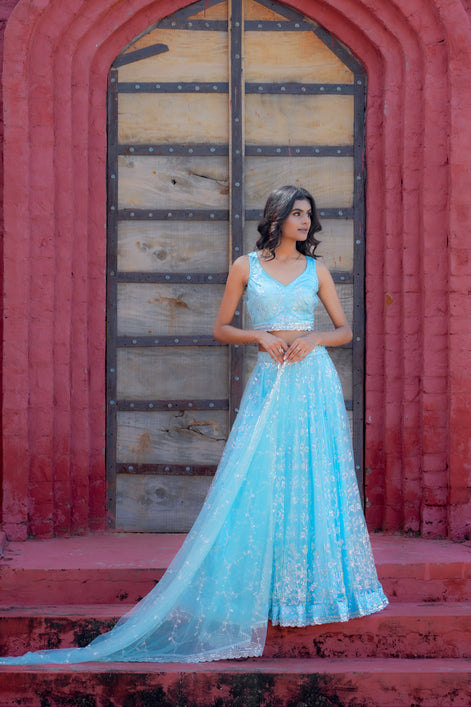 Light Blue Hand Embroidered Net Lehenga