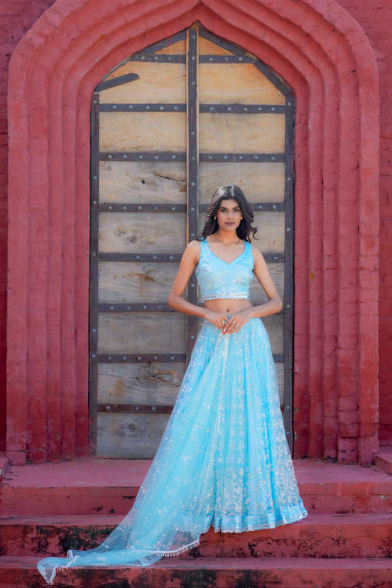 Light Blue Hand Embroidered Net Lehenga