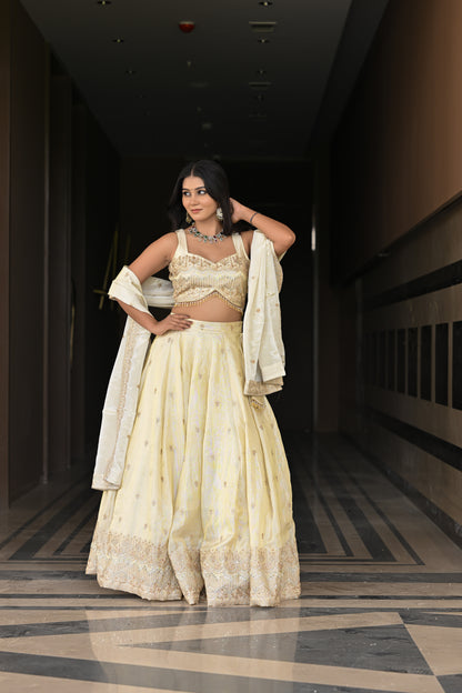 Off-White and Beige Embroidered Silk Lehenga