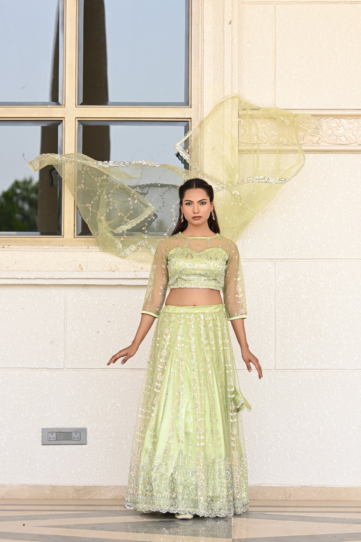 Light Pastel Green Sparkle Embroidered Net Lehenga