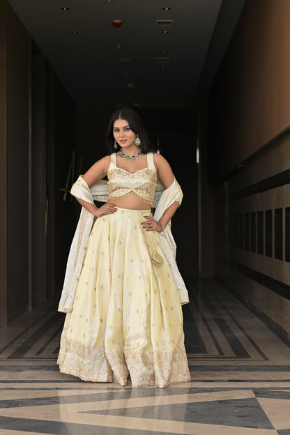 Off-White and Beige Embroidered Silk Lehenga