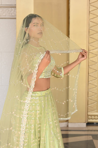 Light Pastel Green Sparkle Embroidered Net Lehenga