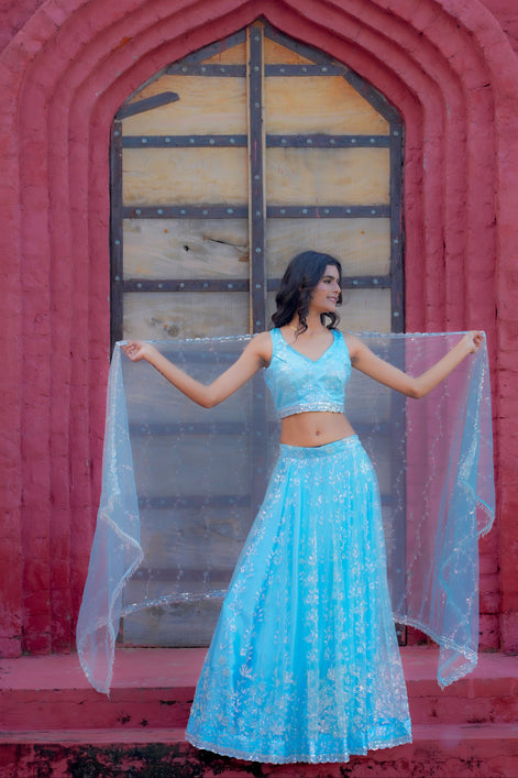 Light Blue Hand Embroidered Net Lehenga