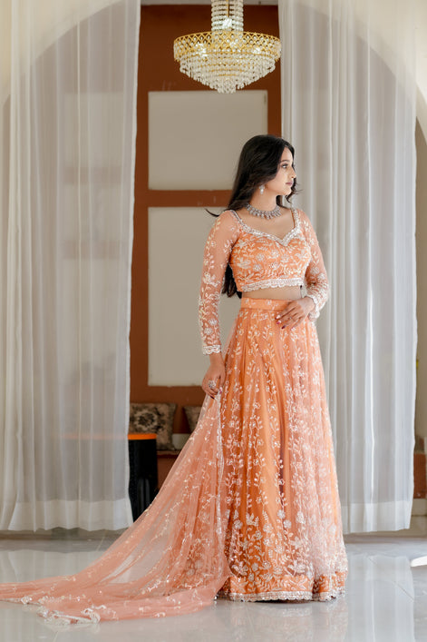Peach Hand Embroidered Net Lehenga
