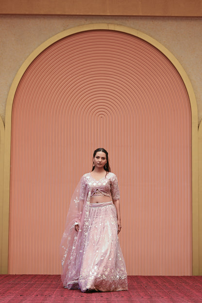 Light Pastel Pink Embroidered Net Lehenga
