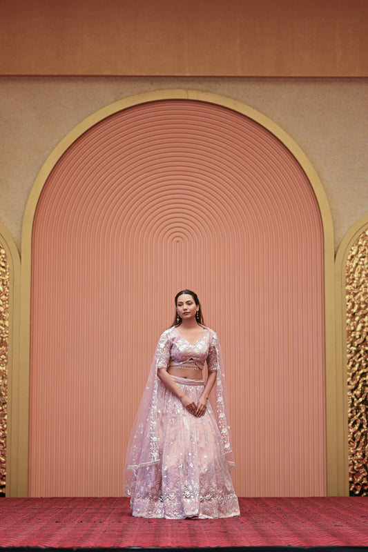 Light Pastel Pink Embroidered Net Lehenga
