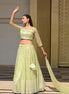 Light Pastel Green Sparkle Embroidered Net Lehenga