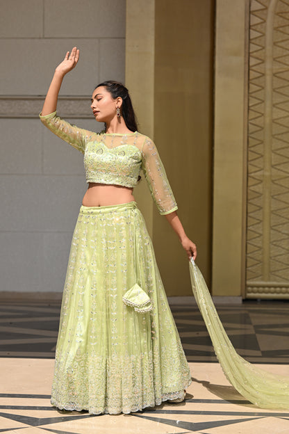 Light Pastel Green Sparkle Embroidered Net Lehenga