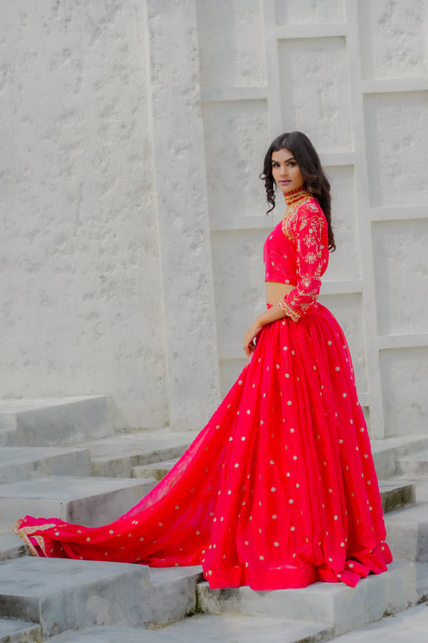Scarlet Red Hand Embroidered Georgette Lehenga