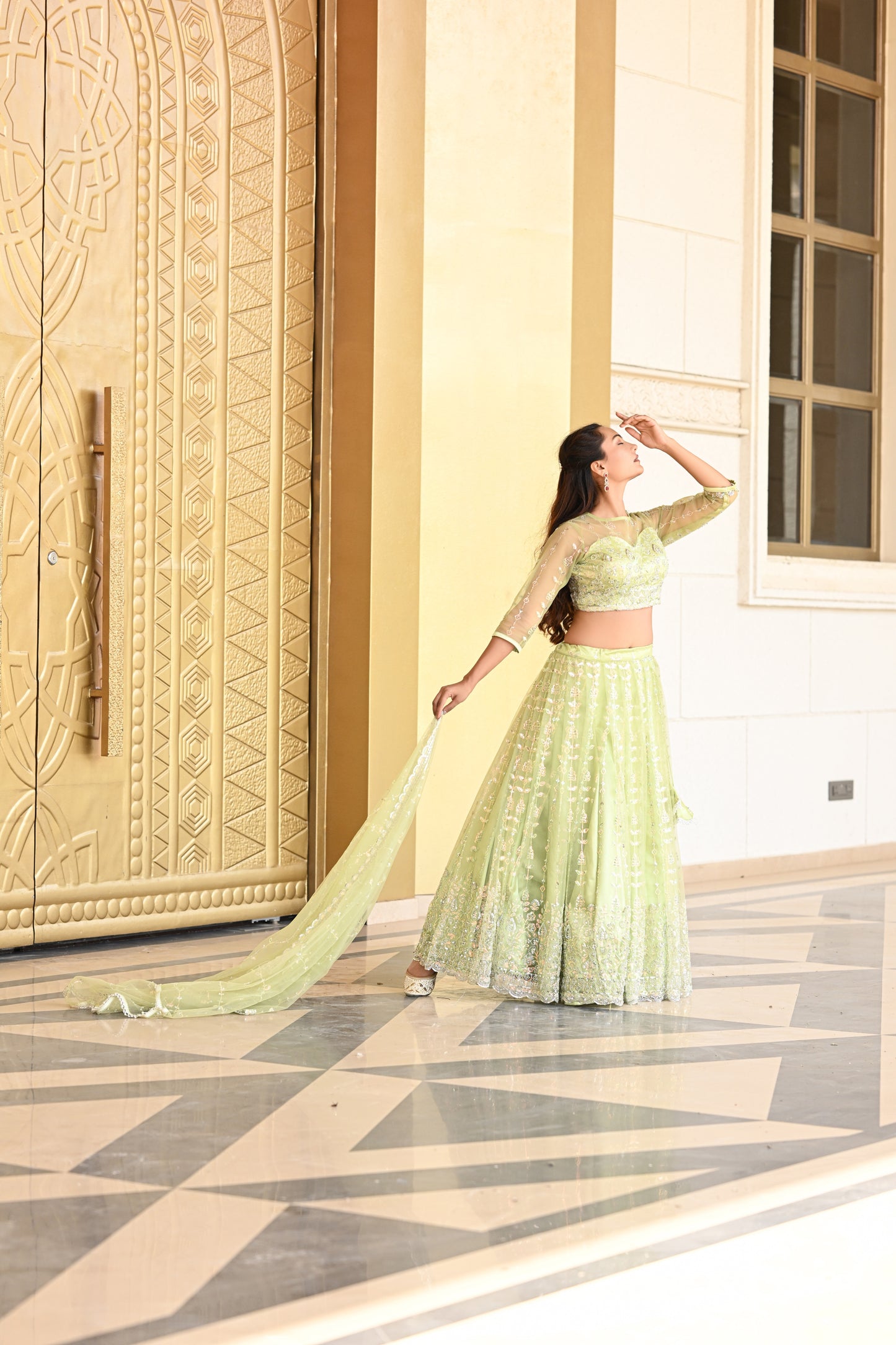 Light Pastel Green Sparkle Embroidered Net Lehenga