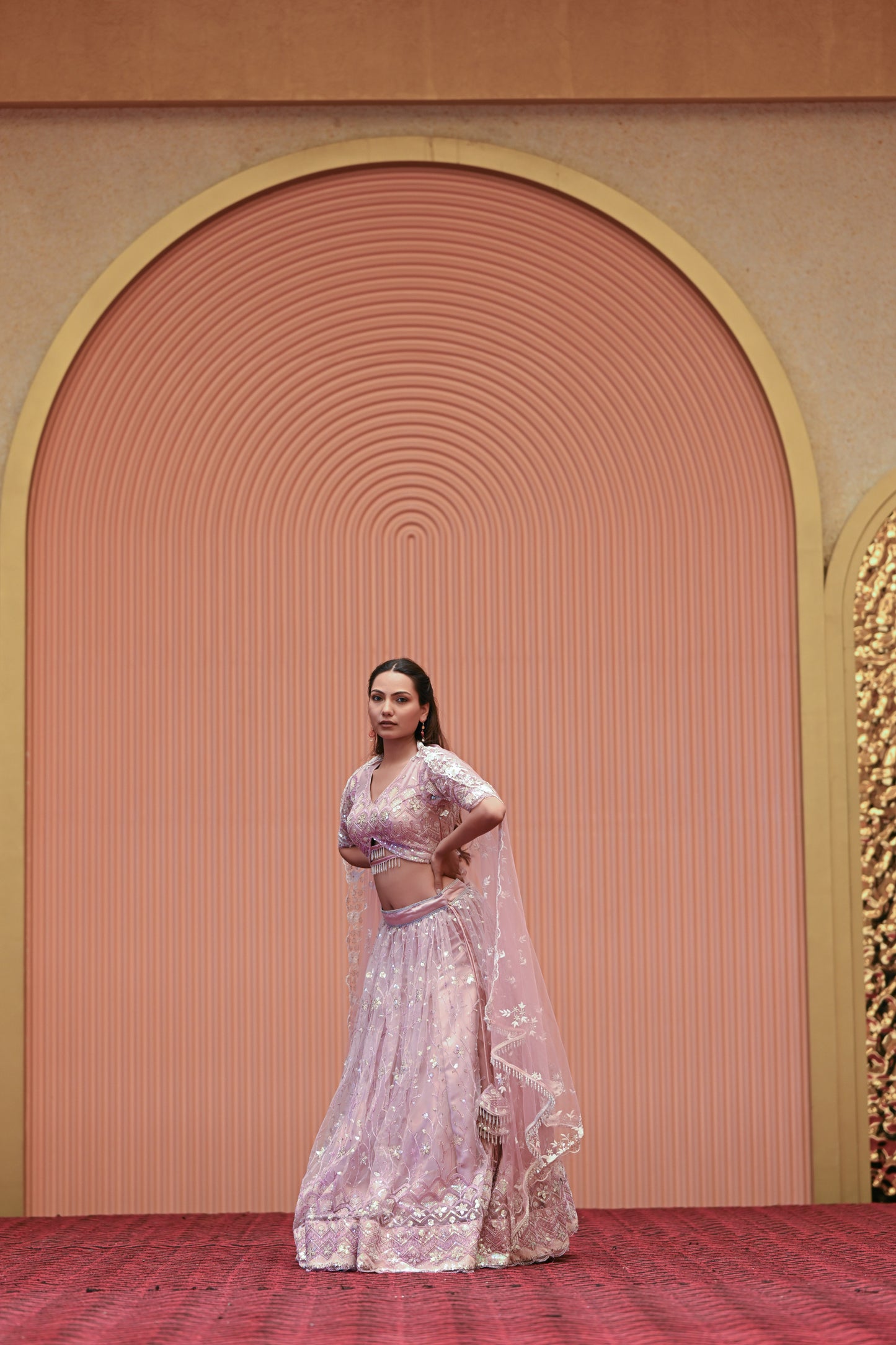 Light Pastel Pink Embroidered Net Lehenga