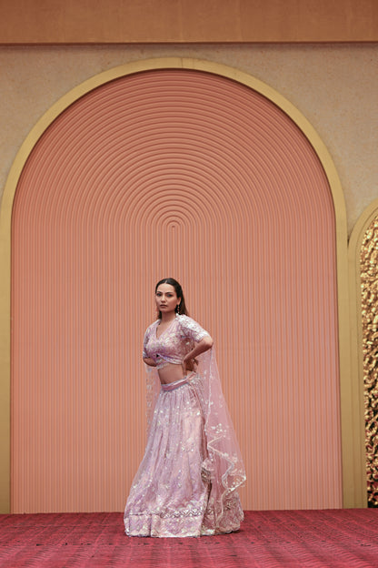 Light Pastel Pink Embroidered Net Lehenga
