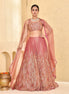 Rust Peach Hand-Embroidered Tissue Lehenga