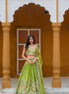 Apple Green Hand Embroidered Silk Lehenga