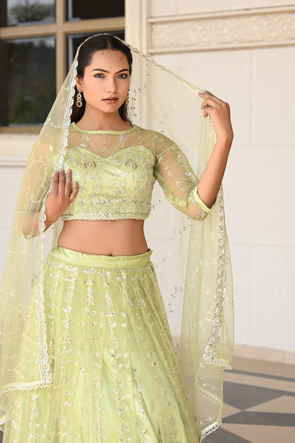 Light Pastel Green Sparkle Embroidered Net Lehenga