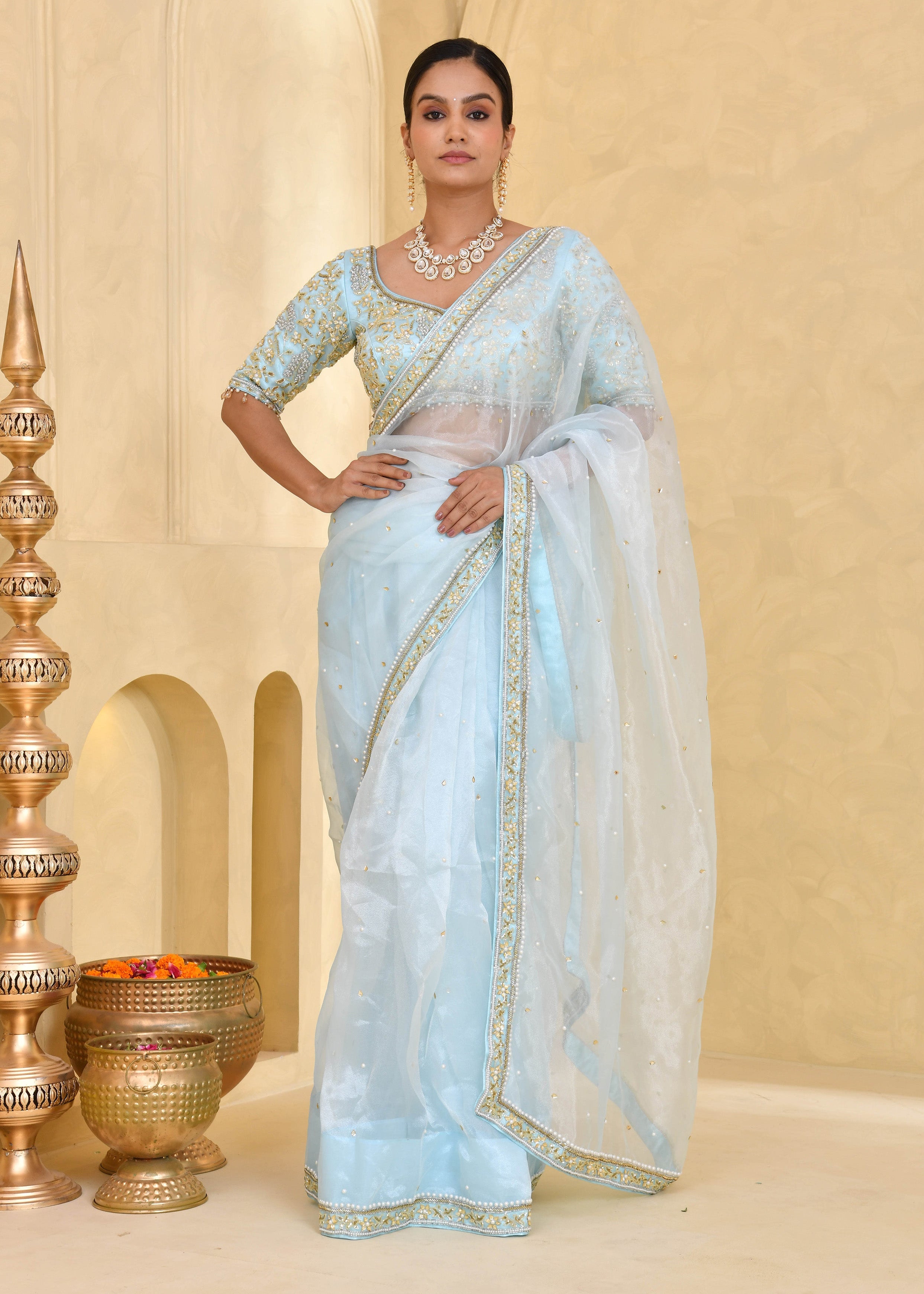 Sky Blue Hand-Embroidered Tissue Saree
