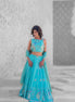 Mint Embroidered Silk Lehenga