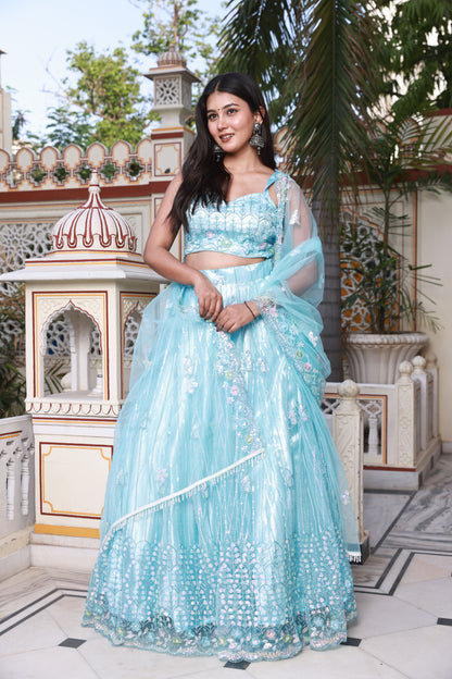 Sky Blue Embroidered Net Lehenga