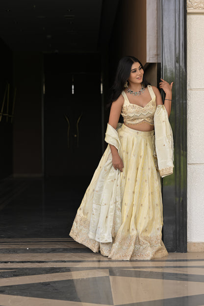 Off-White and Beige Embroidered Silk Lehenga