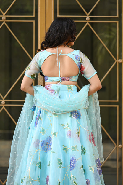 Light Blue Multicolor Floral Embroidered Organza Lehenga
