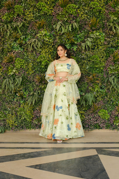 Light Green Multicolor Floral Embroidered Organza Lehenga and Detachable Sleeves