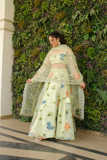 Light Green Multicolor Floral Embroidered Organza Lehenga and Detachable Sleeves