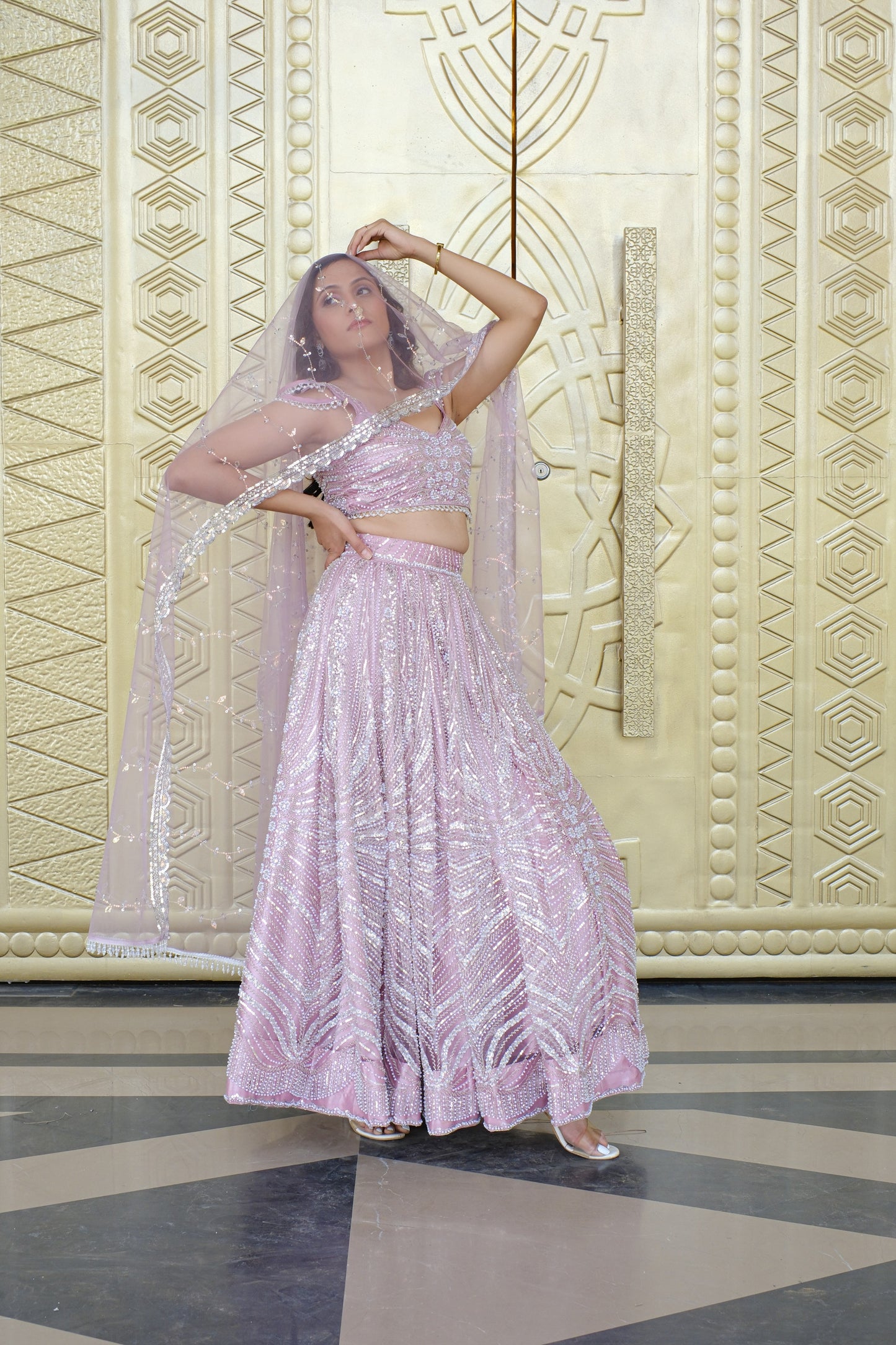 Light Lavender Sparkle Embroidered Net Lehenga