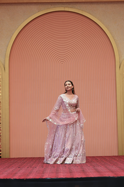 Light Pastel Pink Embroidered Net Lehenga
