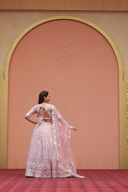 Light Pastel Pink Embroidered Net Lehenga