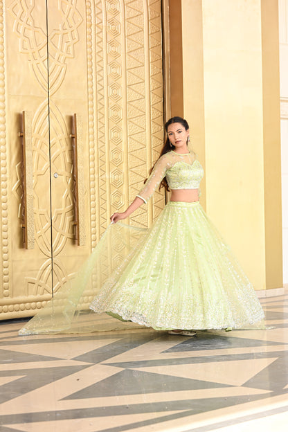 Light Pastel Green Sparkle Embroidered Net Lehenga